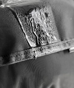 V0103675_6