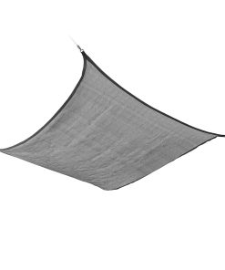 V0103875_6